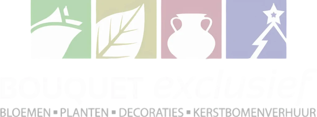 website plaatje